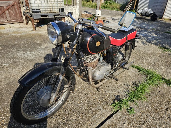 PANNONIA T5