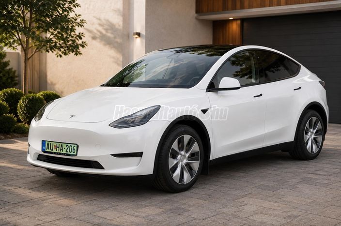TESLA MODEL Y Long Range AWD (Automata)