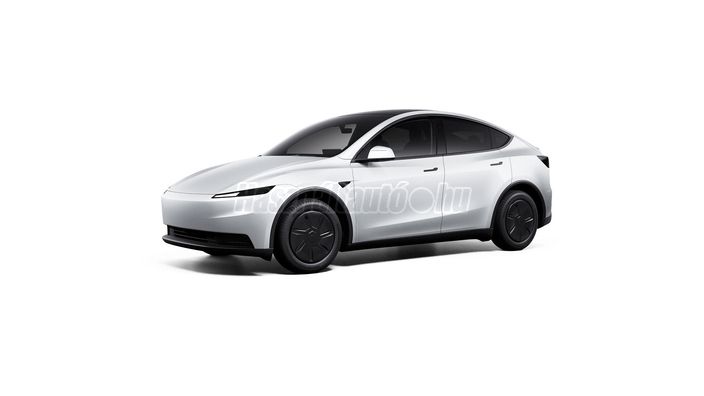 TESLA MODEL Y Long Range AWD (Automata)