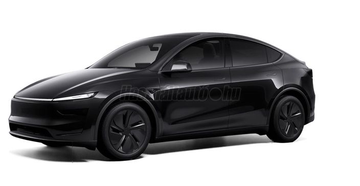 TESLA MODEL Y Long Range AWD (Automata)