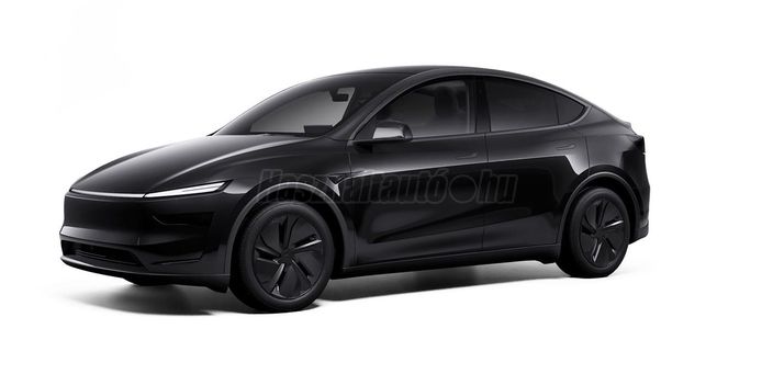 TESLA MODEL Y Long Range RWD (Automata)