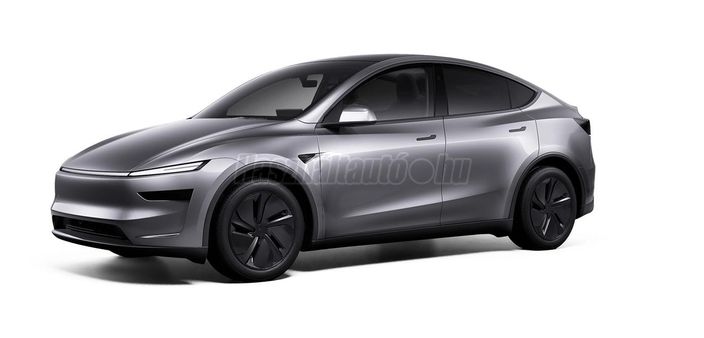 TESLA MODEL Y Long Range AWD (Automata)