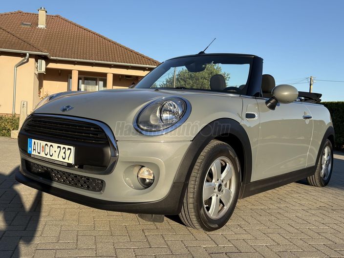 MINI MINI ONE