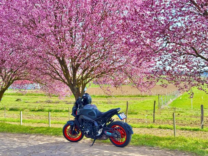 YAMAHA MT-09