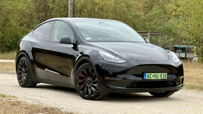 TESLA MODEL Y Performance AWD (Automata)