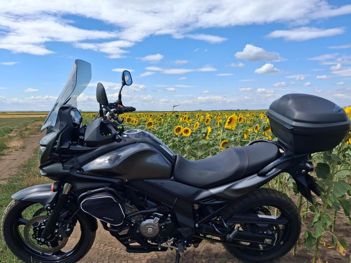 SUZUKI DL 650