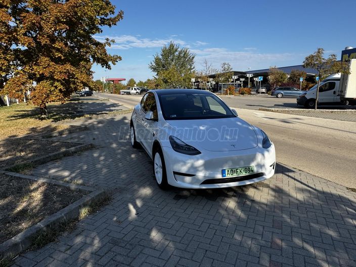 TESLA MODEL Y Long Range AWD (Automata)