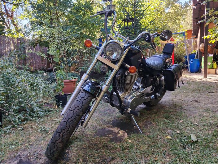 SUZUKI LS 650 SAVAGE
