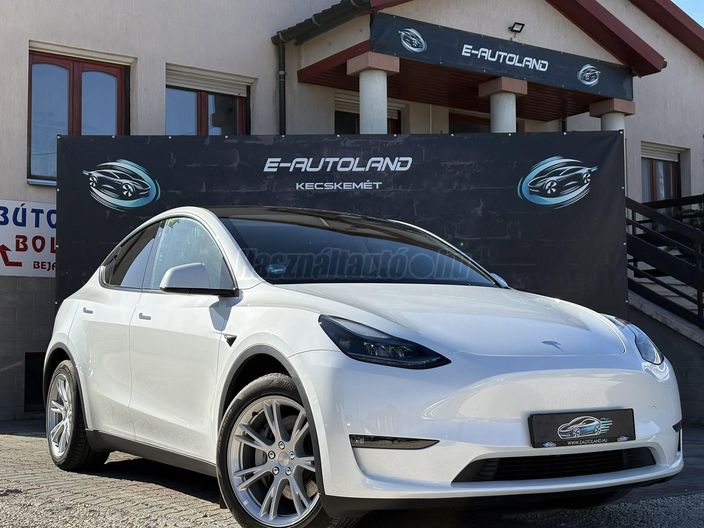 TESLA MODEL Y Long Range AWD (Automata)