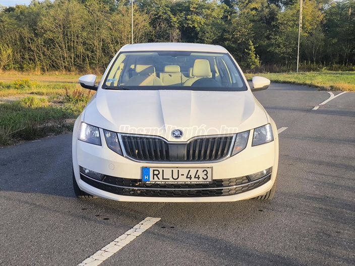 SKODA OCTAVIA 2.0 CR TDI SCR Style DSG7