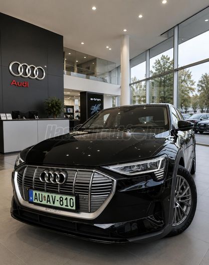 AUDI E-TRON 55 Basis quattro (Automata)