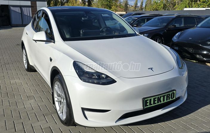 TESLA MODEL Y Long Range AWD (Automata)