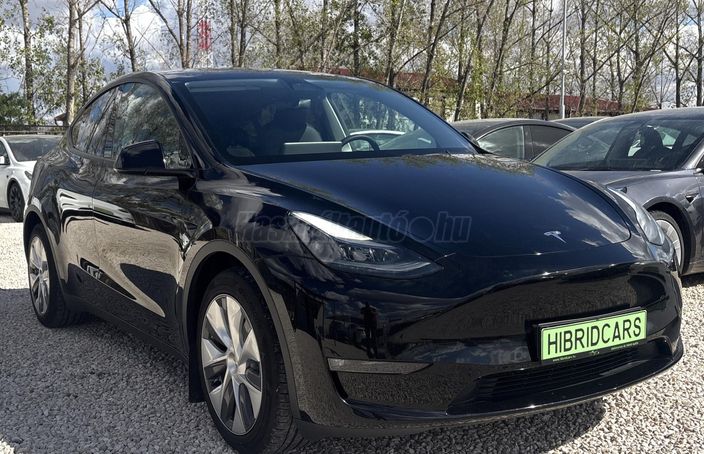 TESLA MODEL Y Long Range AWD (Automata)