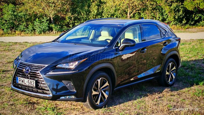 LEXUS NX 300h Luxury CVT