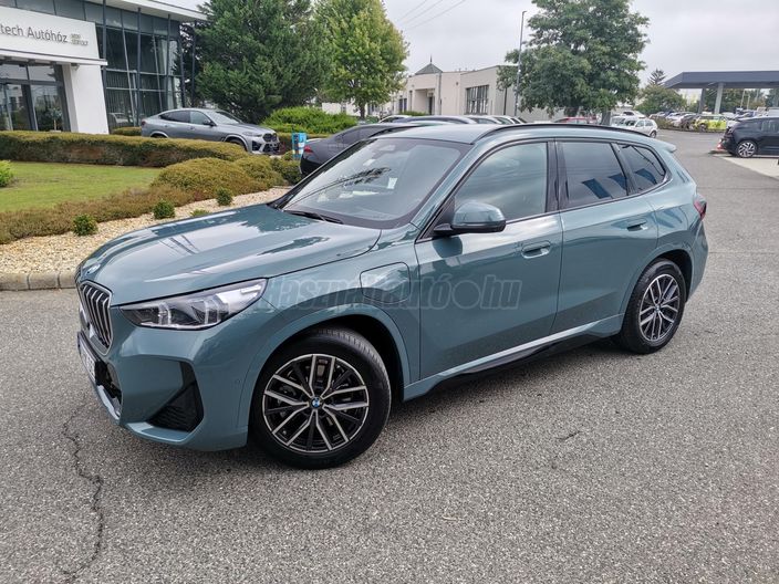 BMW X1 xDrive25e xLine DKG