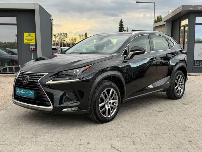 LEXUS NX 300h Business Edition CVT