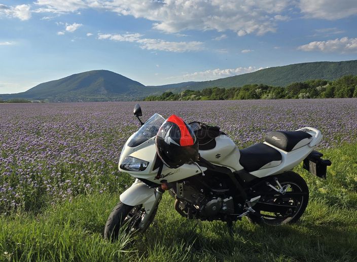 SUZUKI SV 650 S