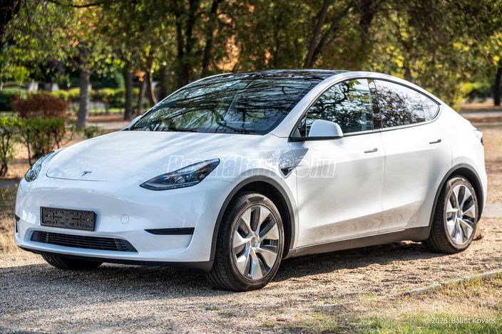 TESLA MODEL Y RWD (Automata)