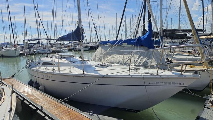 BALATON 31