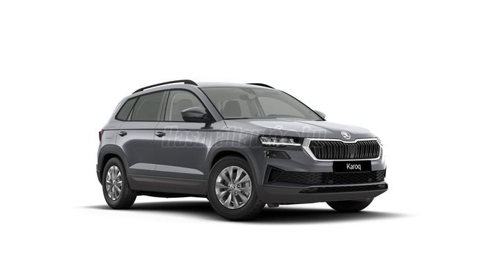 SKODA KAROQ 2.0 TDI SCR Joy 4x4 DSG