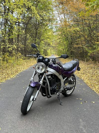 SUZUKI GS 500 E