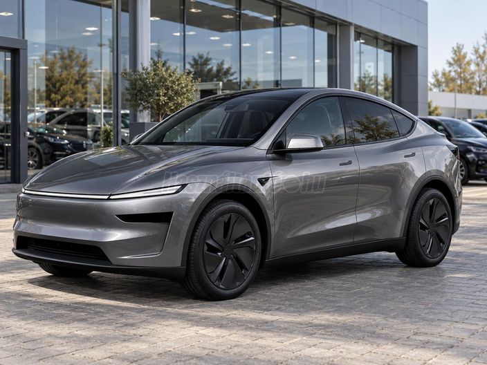 TESLA MODEL Y Long Range AWD (Automata)