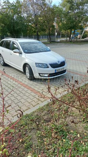 SKODA OCTAVIA 2.0 CR TDI Elegance DSG