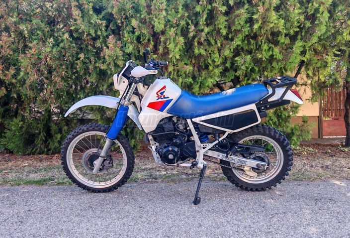 HONDA XL 600 RM