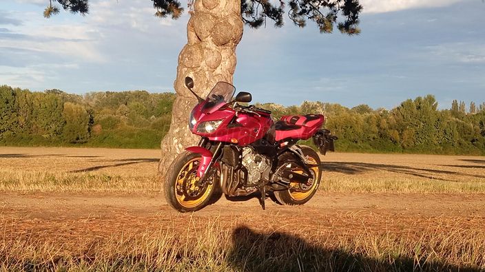 YAMAHA FZ1-S