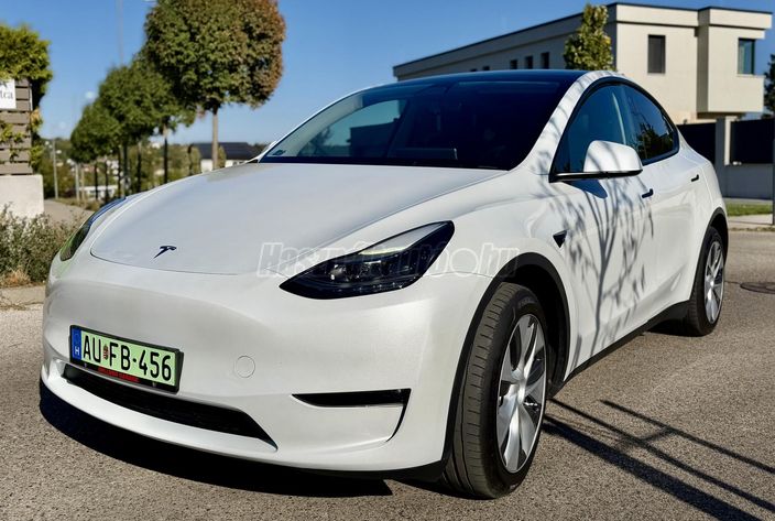 TESLA MODEL Y Performance AWD (Automata)