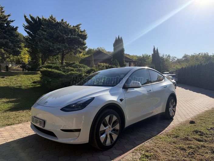 TESLA MODEL Y RWD (Automata)