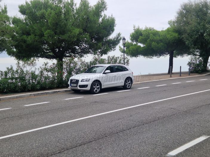 AUDI Q5 2.0 TDI DPF quattro S-tronic EU5