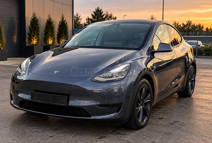 TESLA MODEL Y RWD (Automata)