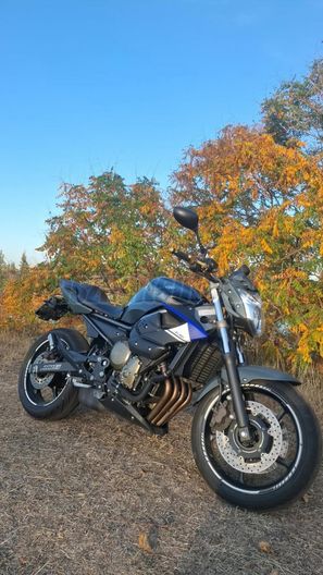 YAMAHA XJ 6 N
