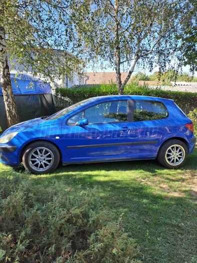 PEUGEOT 307 1.6 XS