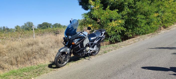 HONDA XL