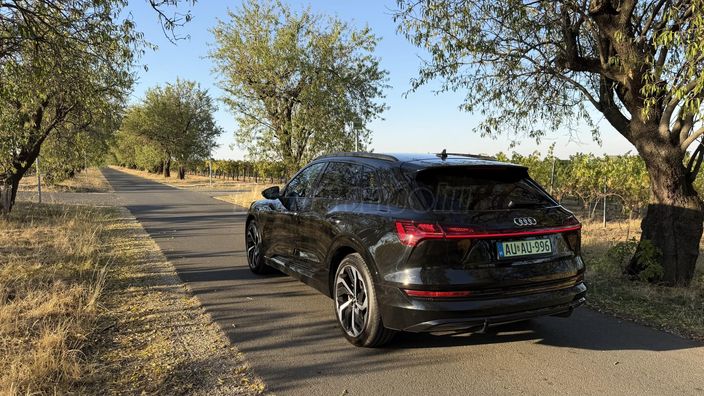 AUDI E-TRON 50 S line quattro (Automata)