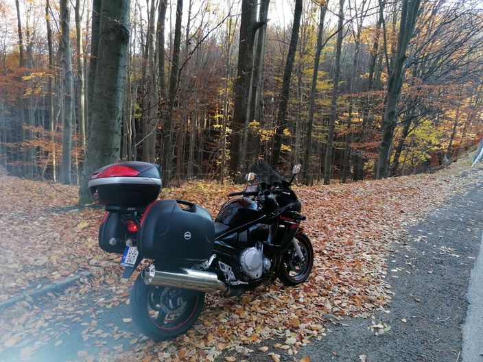 SUZUKI GSX 650 F