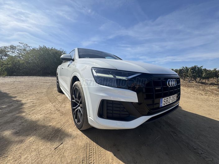 AUDI Q8 50 TDI quattro Tiptronic ic