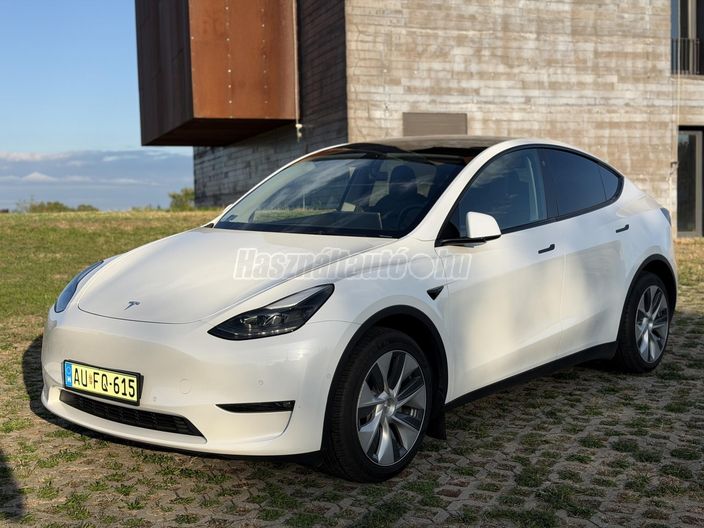TESLA MODEL Y Long Range AWD (Automata)
