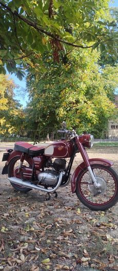 PANNONIA T1