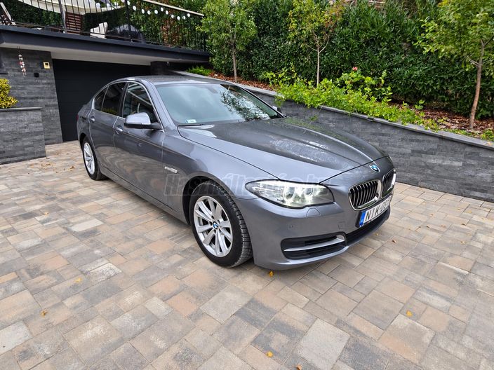 BMW 520 520d (Automata)