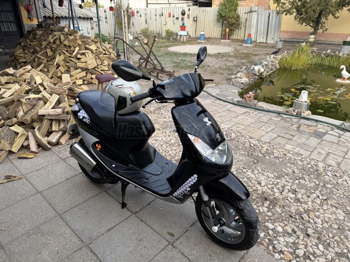 PEUGEOT VIVACITY