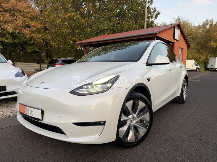 TESLA MODEL Y Long Range AWD (Automata)