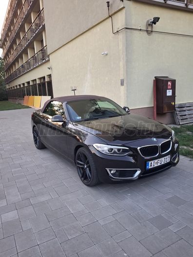 BMW 2-ES SOROZAT 228i Luxury (Automata)