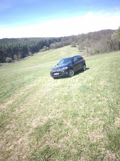 BMW X5 xDrive40e iPerformance (Automata)