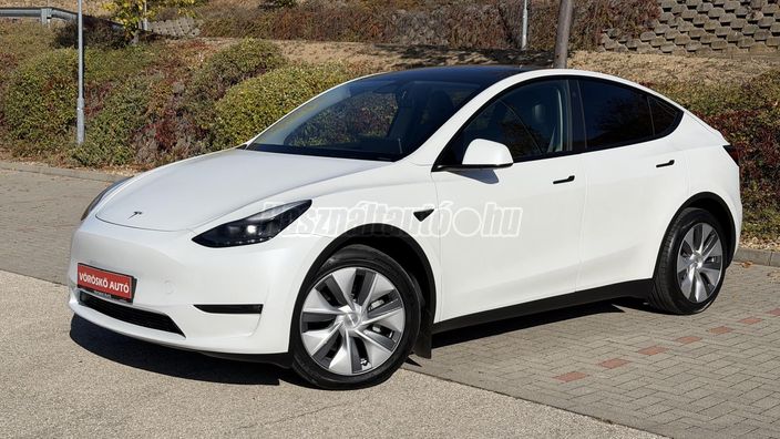 TESLA MODEL Y Long Range AWD (Automata)