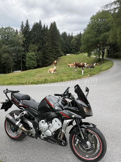 YAMAHA FZ1-S