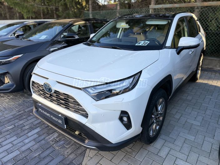 TOYOTA RAV 4 Rav4 2.5 Hybrid Executive AWD e-CVT