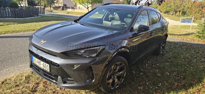 CUPRA FORMENTOR 2.0 TDI DSG